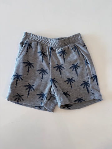 Chaser | Lighting Palms Boys Shorts