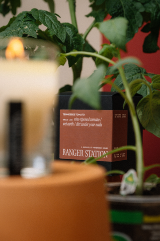 (TESTER) TENNESSEE TOMATO CANDLE