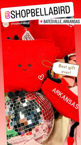 Arkansas State Stuffed Plush Doll | State Plush | Razorbacks