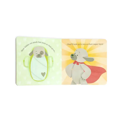 Demdaco | Big Brother Book