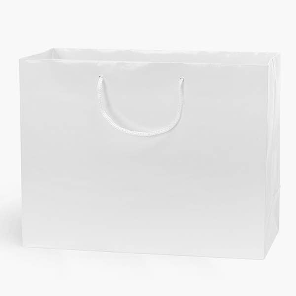 Gloss Paper Rope Handle Gift Bags