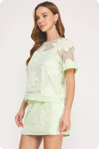 Embroidery Floral Mesh Top Skirt Set