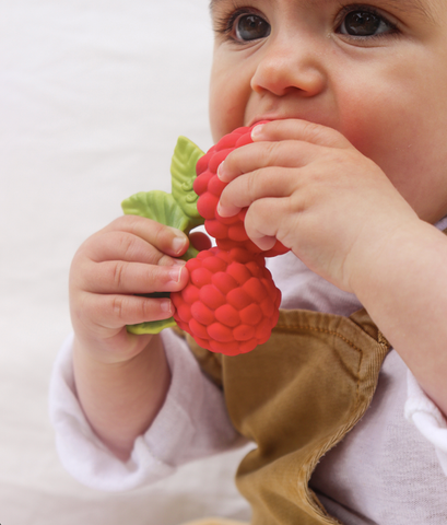 Valery the Raspberry