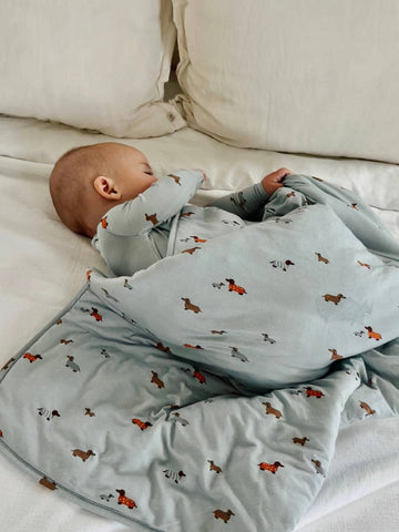FW26 Cloud Blanket 1.0
