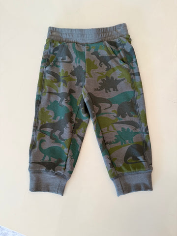 Chaser | Dino Camo Boys Pant