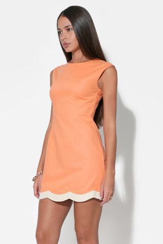 AR | Melody Scalloped Hem Sheath Dress in Tangerine/Cream