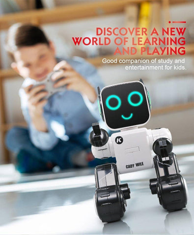 Smart RC Programmable Robot