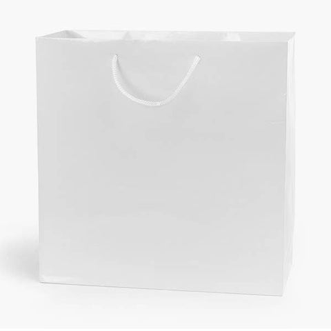 Gloss Paper Rope Handle Gift Bags
