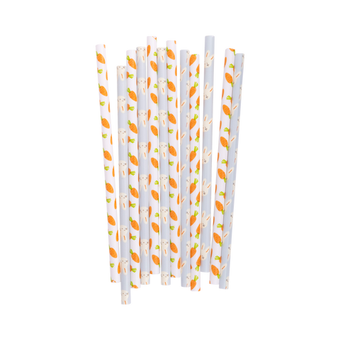 Bunny/Carrot Reusable Straws