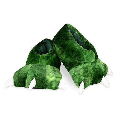 *Dino Feet Slippers