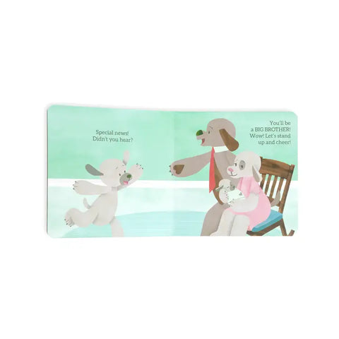 Demdaco | Big Brother Book