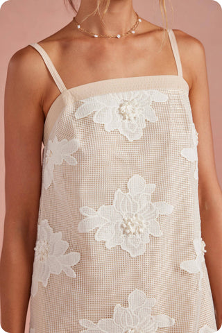 Embroidery Floral Mesh Mini Dress