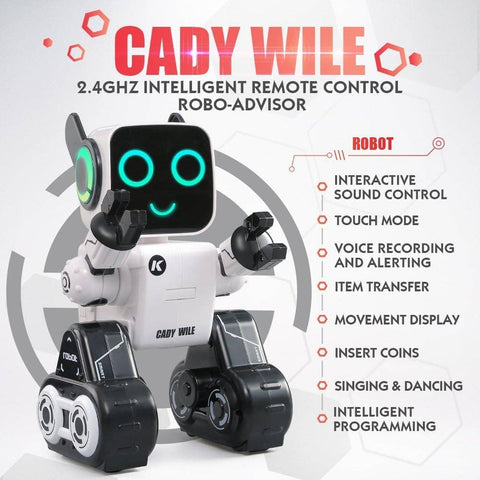 Smart RC Programmable Robot