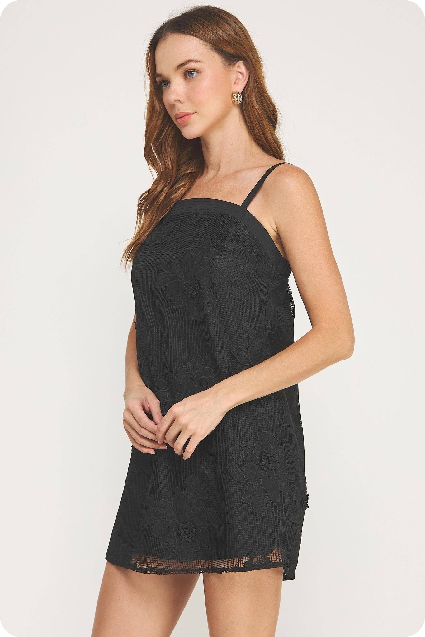 Embroidery Floral Mesh Mini Dress