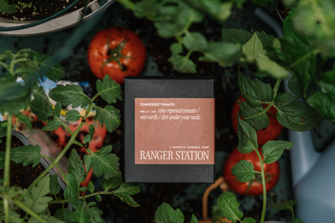 (TESTER) TENNESSEE TOMATO CANDLE