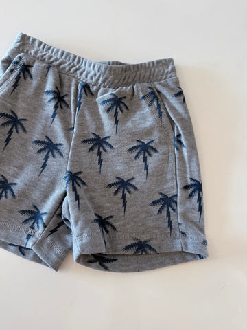 Chaser | Lighting Palms Boys Shorts