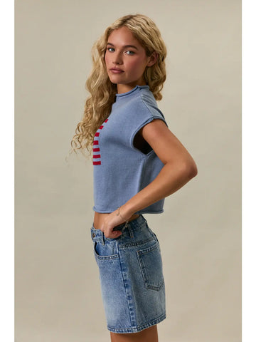 Drop Shoulder USA Flag Sweater in Light Blue