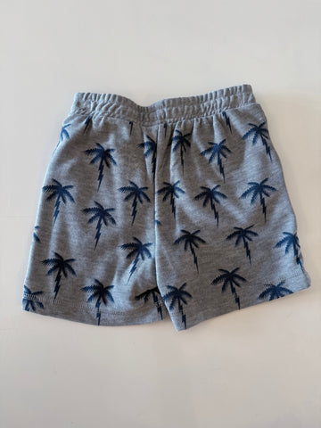 Chaser | Lighting Palms Boys Shorts
