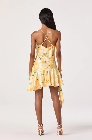 ASTR | Paloma Dress in Tangerine Floral