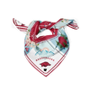 Arkansas Razorback Saturday Scarf