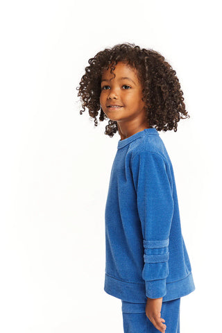 Chaser | Long Sleeve Peacock Crew Neck Pullover