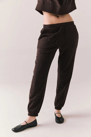 files/CWA071_4021.webp