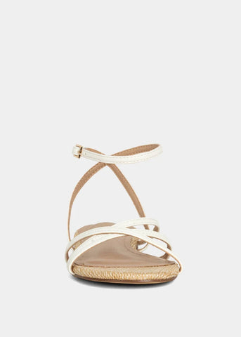 ShuShop | Dana Mini