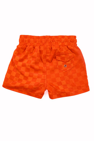 Fletch | Checker Swin Trunks