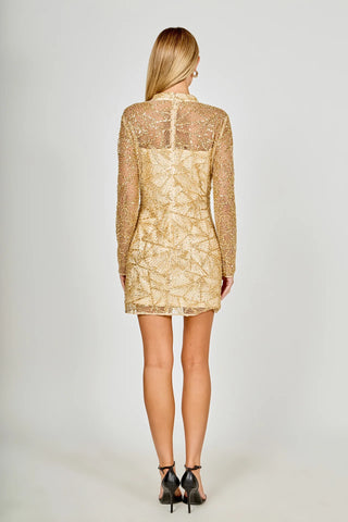 ER | Sequin Beaded Mesh Dress