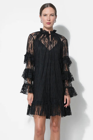 Adelyn Rae | Lorena Lace Ruffled Shift Dress