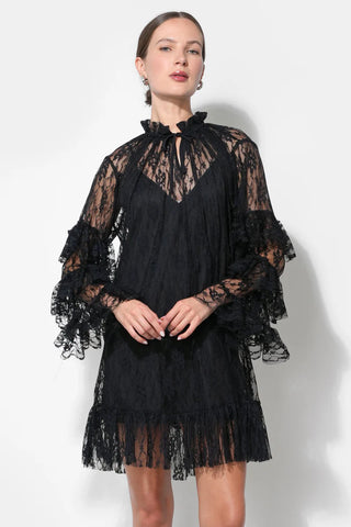 Adelyn Rae | Lorena Lace Ruffled Shift Dress