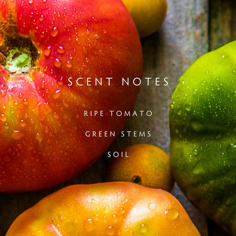 files/HEIRLOOMTOMATO.webp
