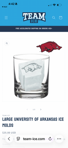Team Ice Mold