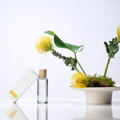 Linnea | Sun Day Room Spray