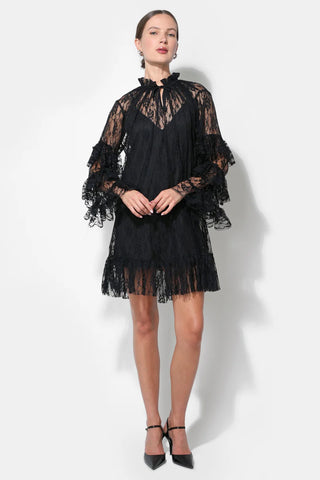 Adelyn Rae | Lorena Lace Ruffled Shift Dress