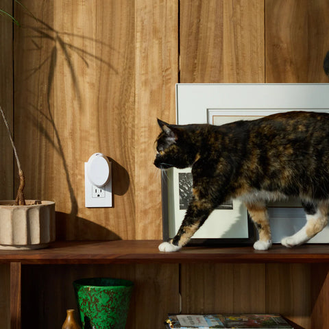 Pura | Home Mini Pura