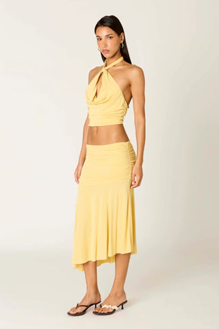 NIA | Lucia Top in Maize