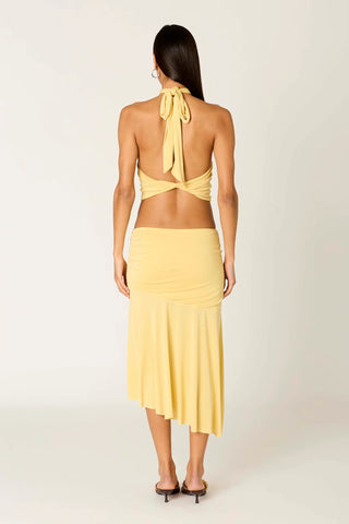 NIA | Lucia Top in Maize