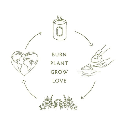 Linnea | Heirloom Tomato Soy Candle