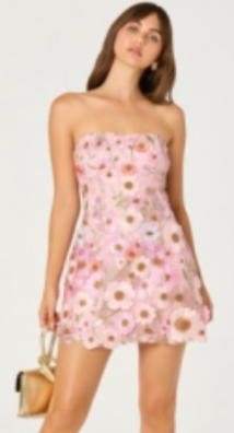 ASTR | Julisa Dress in Pink Floral