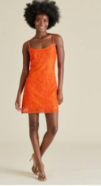 Steve Madden | Maureene Mini Dress in Spicy Red