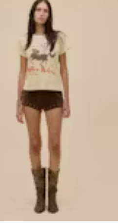 Daydreamer | Willie Nelson Horse Called Music Solo Tee in Sheer Yellow