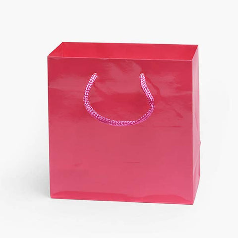 Gloss Paper Rope Handle Gift Bags