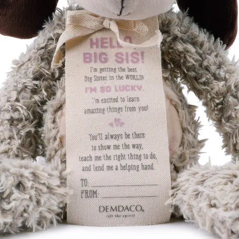 Demdaco | Gift from New Kid: Big Sister