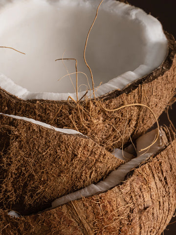 files/coconut-2-resized_ab6dc767-82fb-4d4c-b888-436c7ae82961.webp