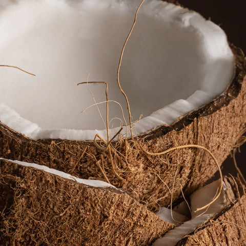 Pura | Becki Owens Coconut Calm Car Fragrance Refill