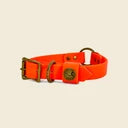 DECOY | Dog Collar