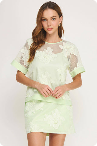 Embroidery Floral Mesh Top Skirt Set