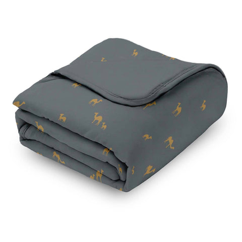 FW26 Cloud Blanket 1.0