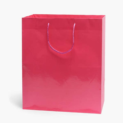 Gloss Paper Rope Handle Gift Bags